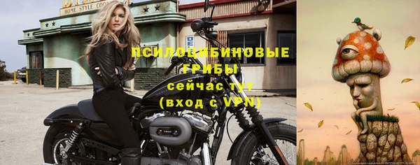 синтетический гашиш Алексеевка