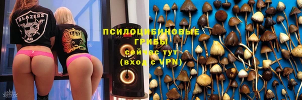синтетический гашиш Алексин