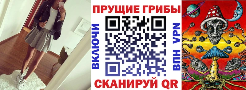 сайты даркнета наркотические препараты Ардон Псилоцибиновые грибы Magic Shrooms купить цена